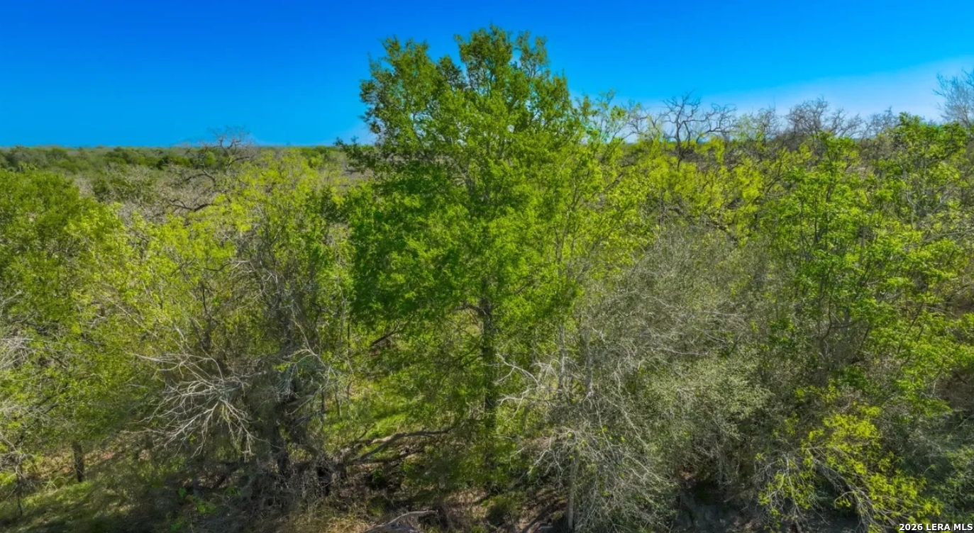 Gonzales County | 20+/- Acres