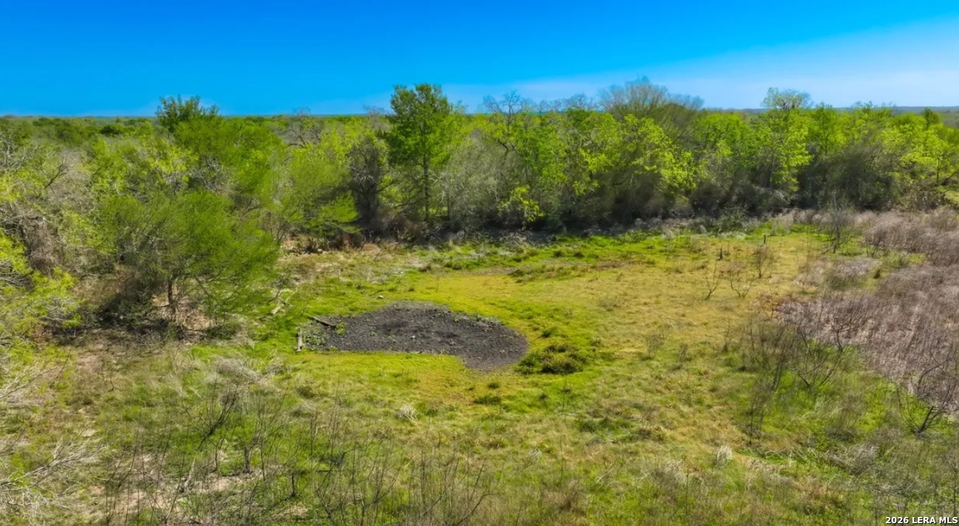 Gonzales County | 20+/- Acres