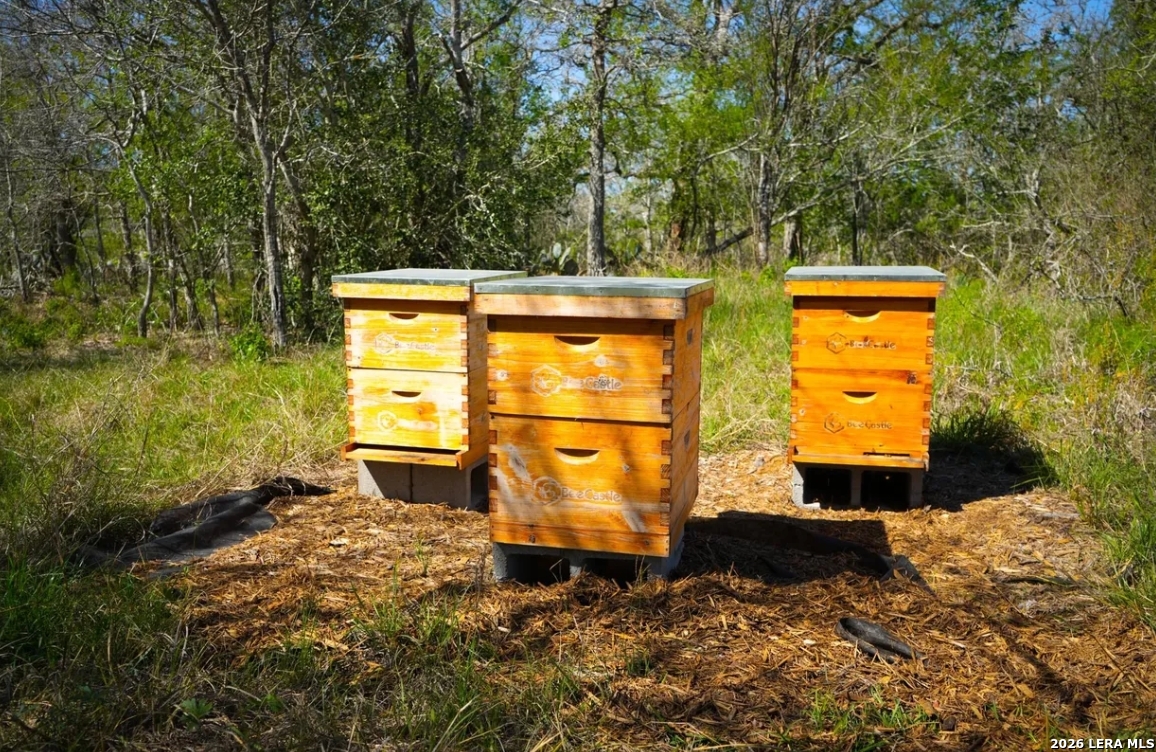 Gonzales County | 20+/- Acres