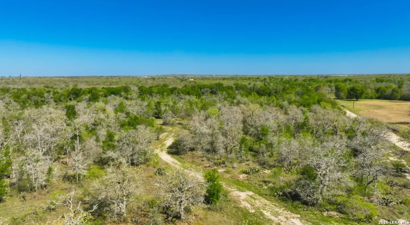Gonzales County | 20+/- Acres