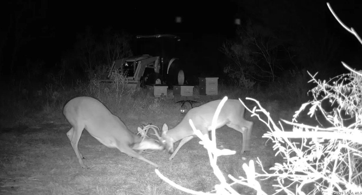 Gonzales County | 20+/- Acres