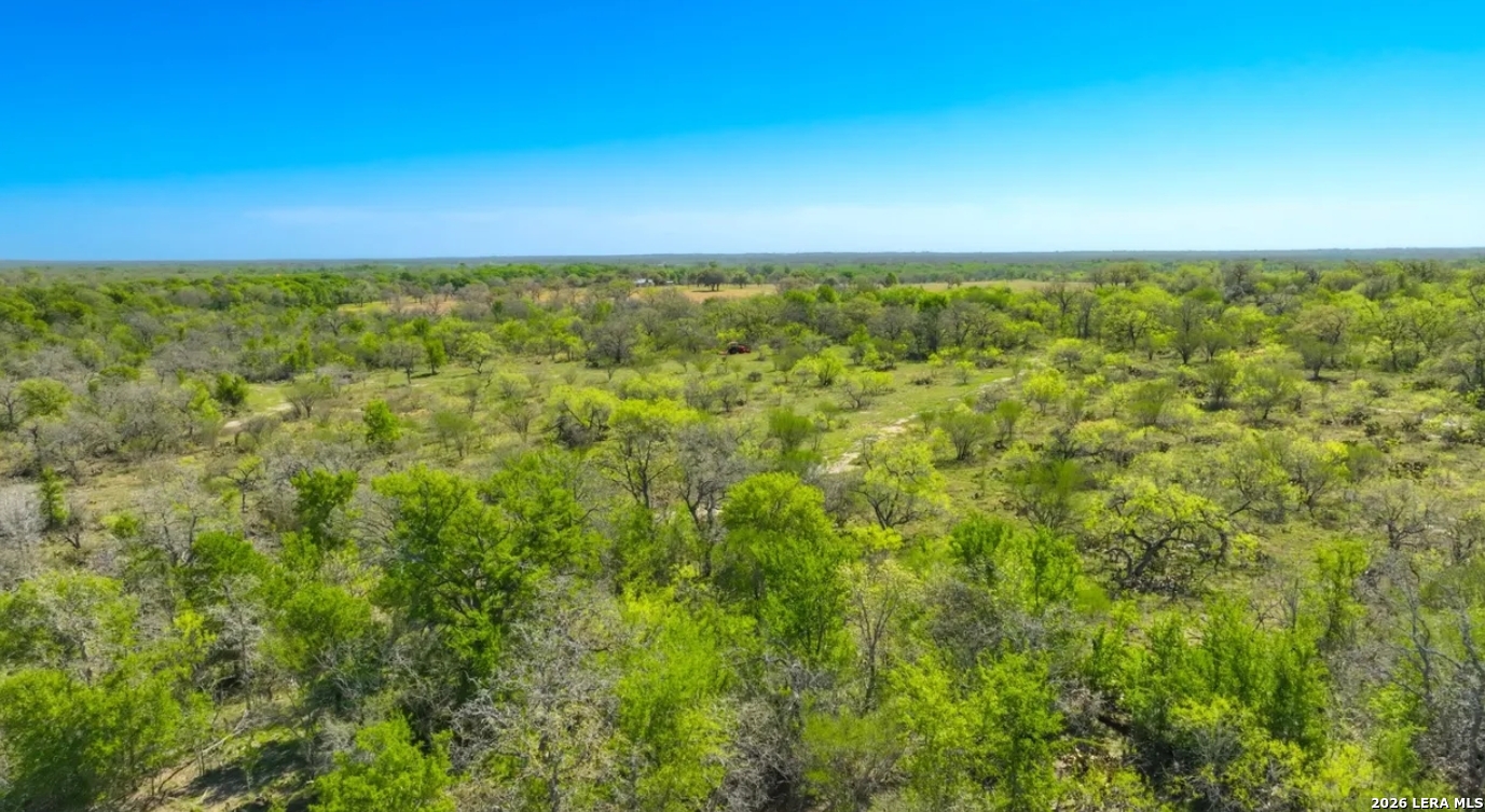 Gonzales County | 20+/- Acres