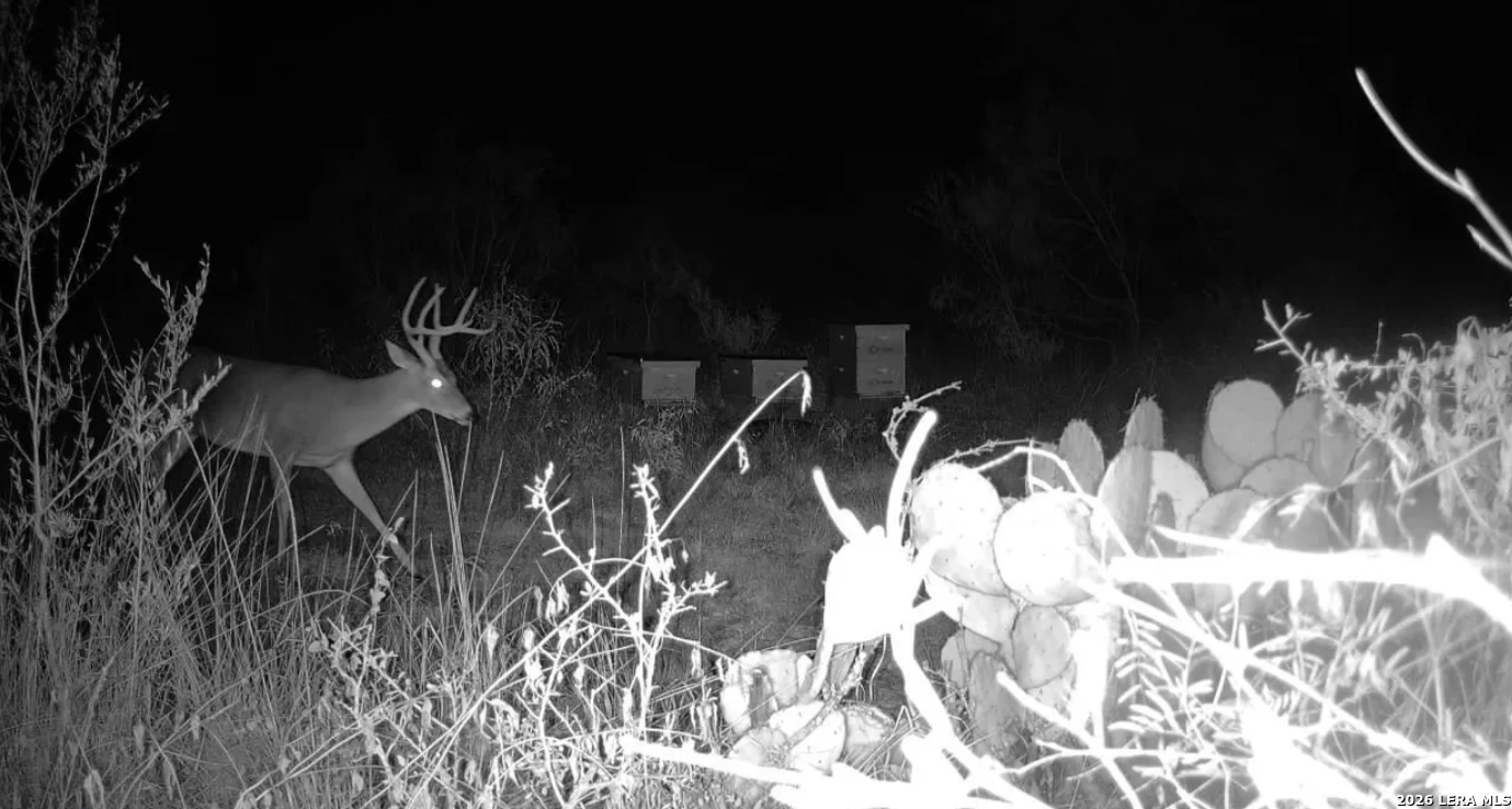 Gonzales County | 20+/- Acres