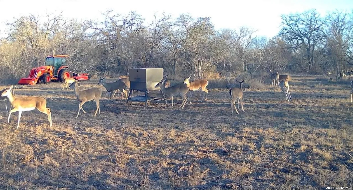 Gonzales County | 20+/- Acres