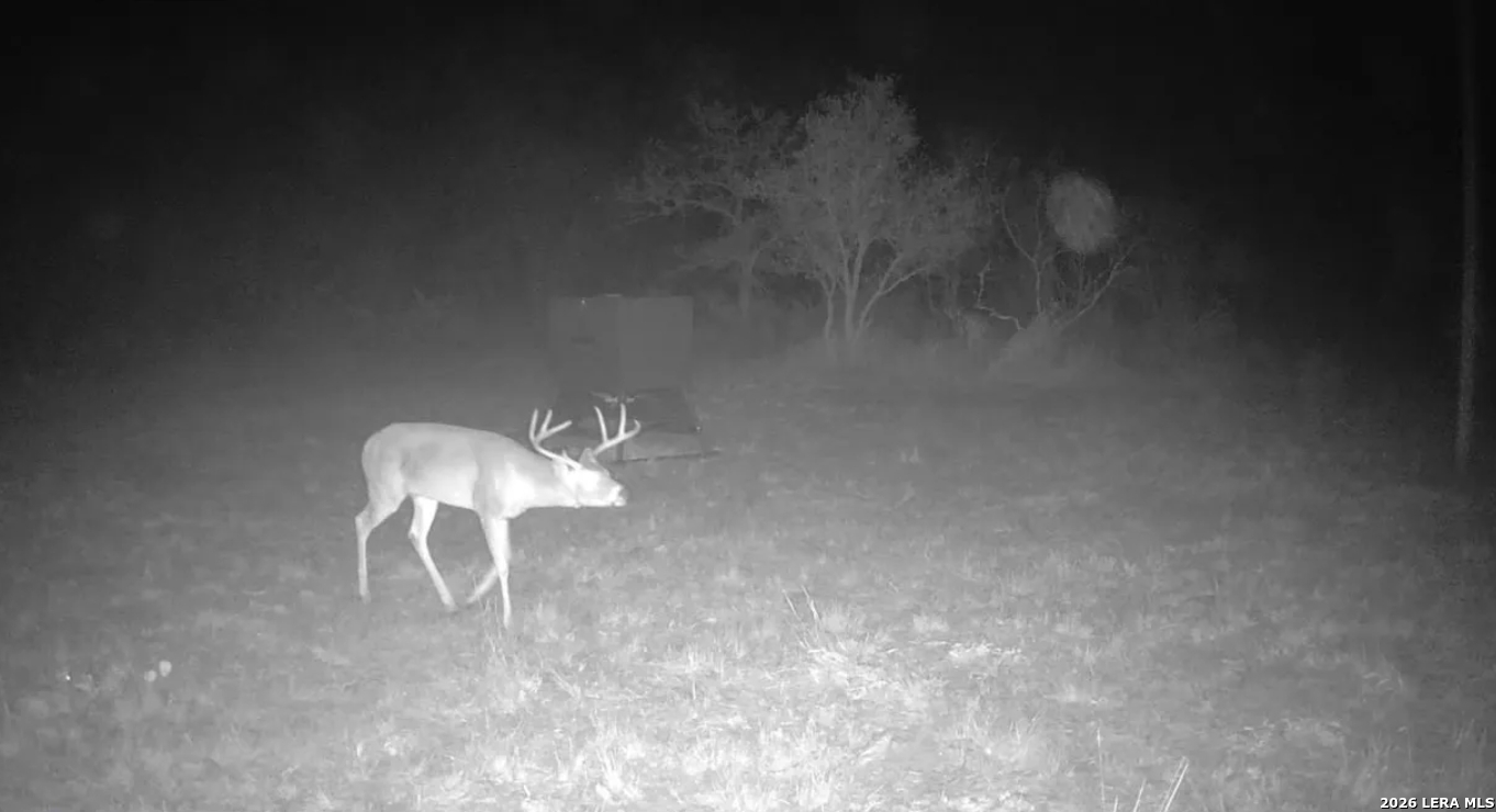 Gonzales County | 20+/- Acres