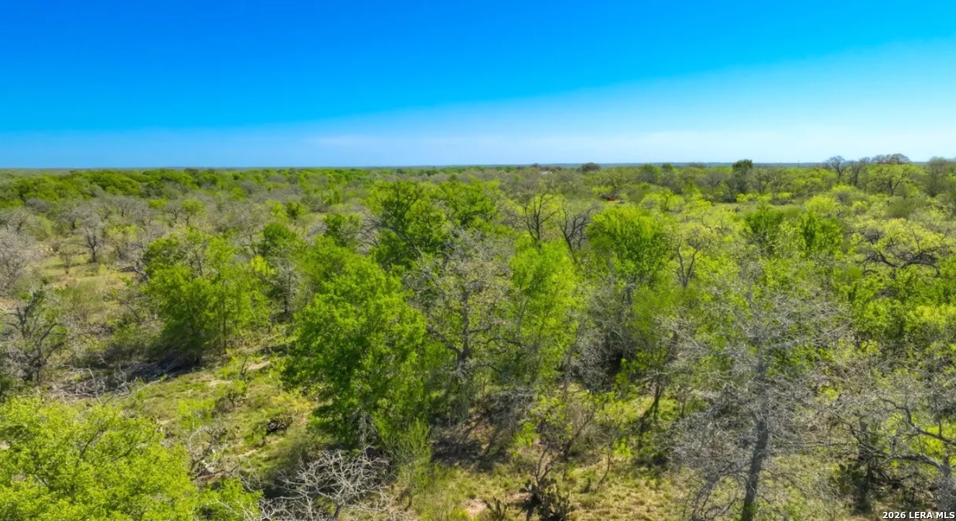 Gonzales County | 20+/- Acres
