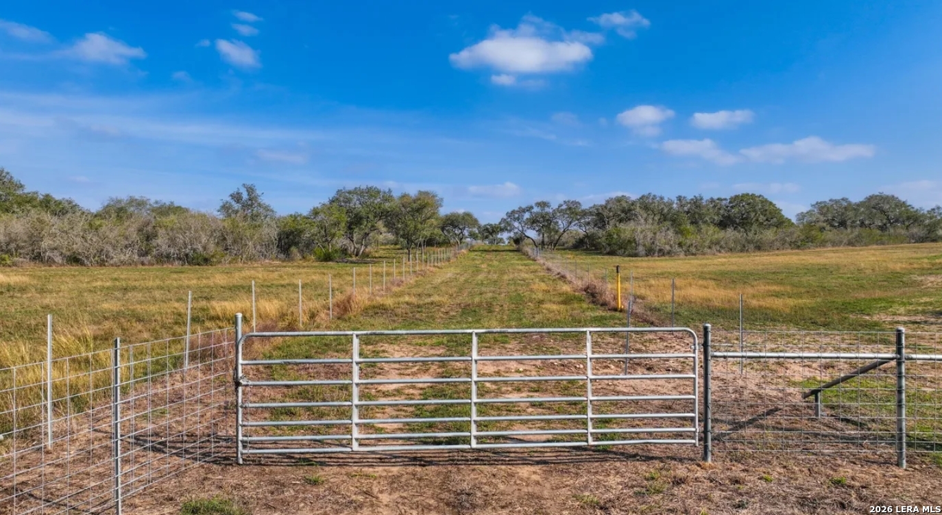 Bee County | 11+/- Acres