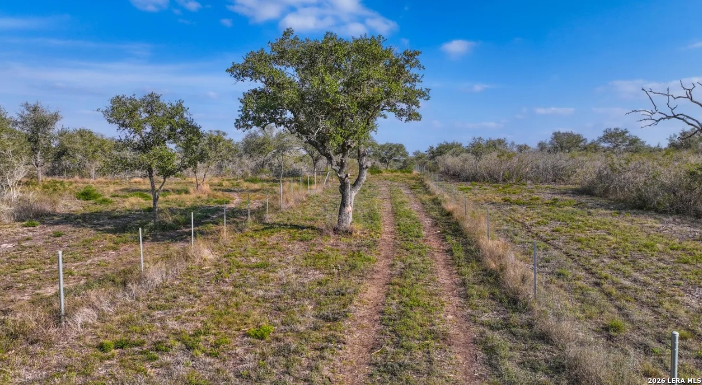 Bee County | 11+/- Acres