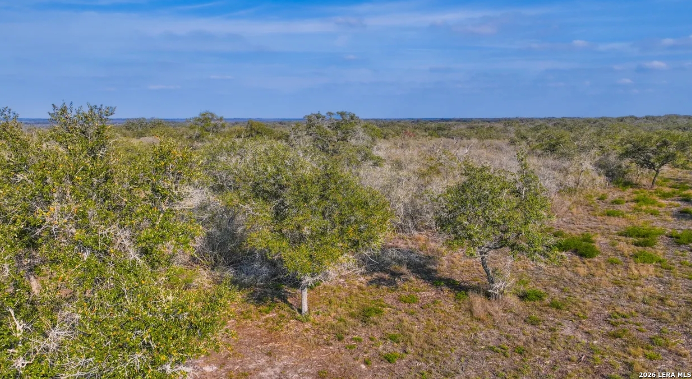 Bee County | 11+/- Acres