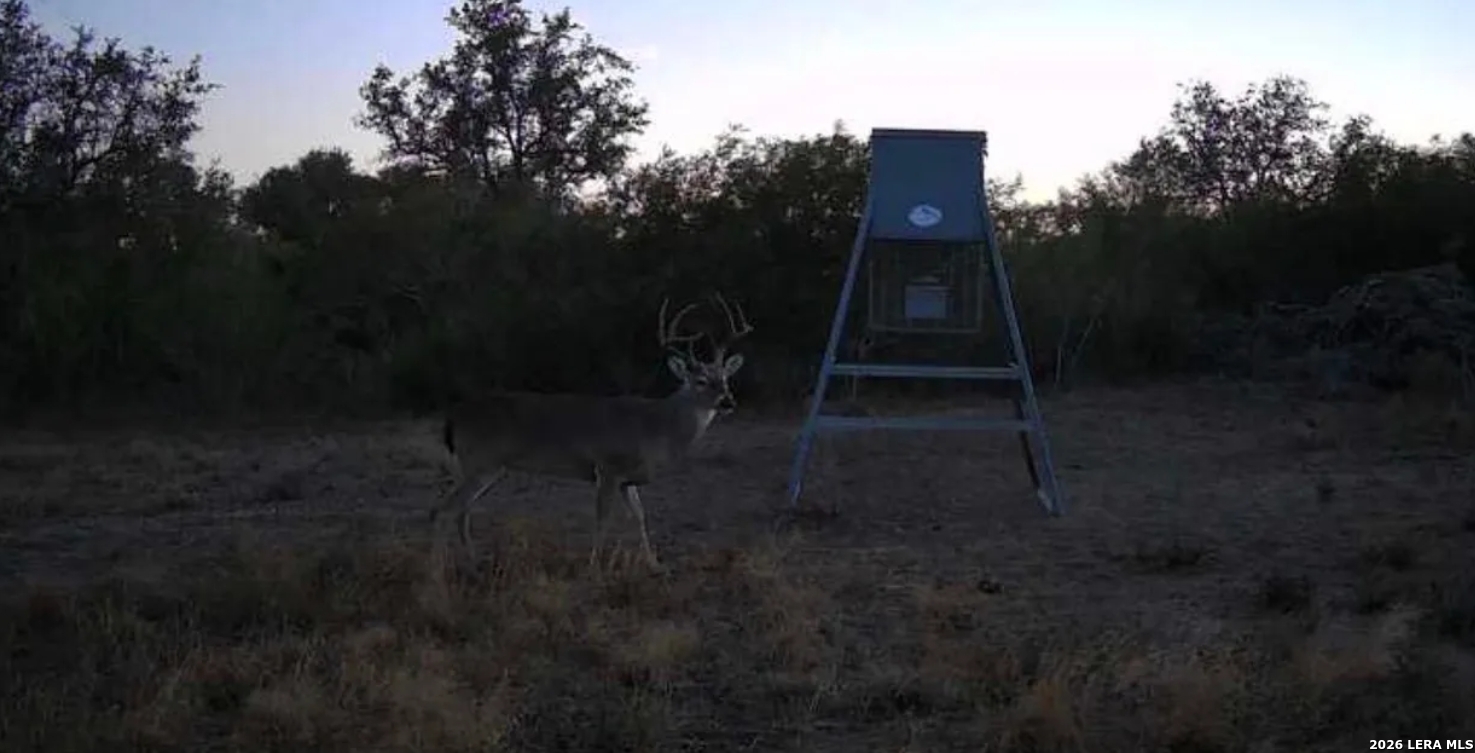 Bee County | 11+/- Acres