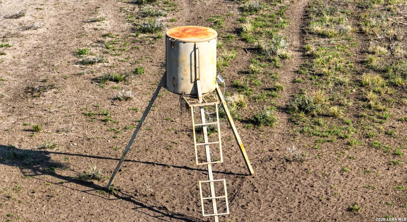 Bee County | 11+/- Acres