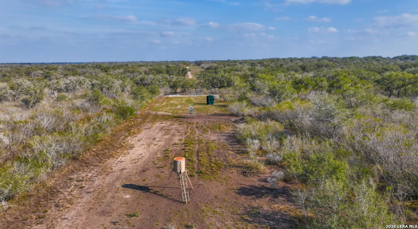 Bee County | 11+/- Acres