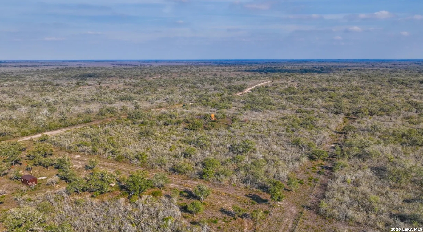 Bee County | 11+/- Acres
