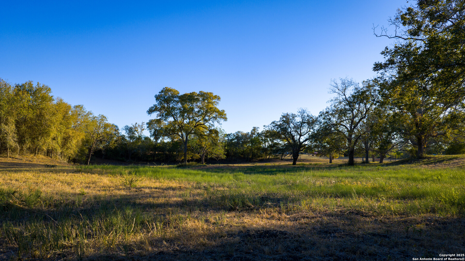 Dewitt County | 35+/- Acres