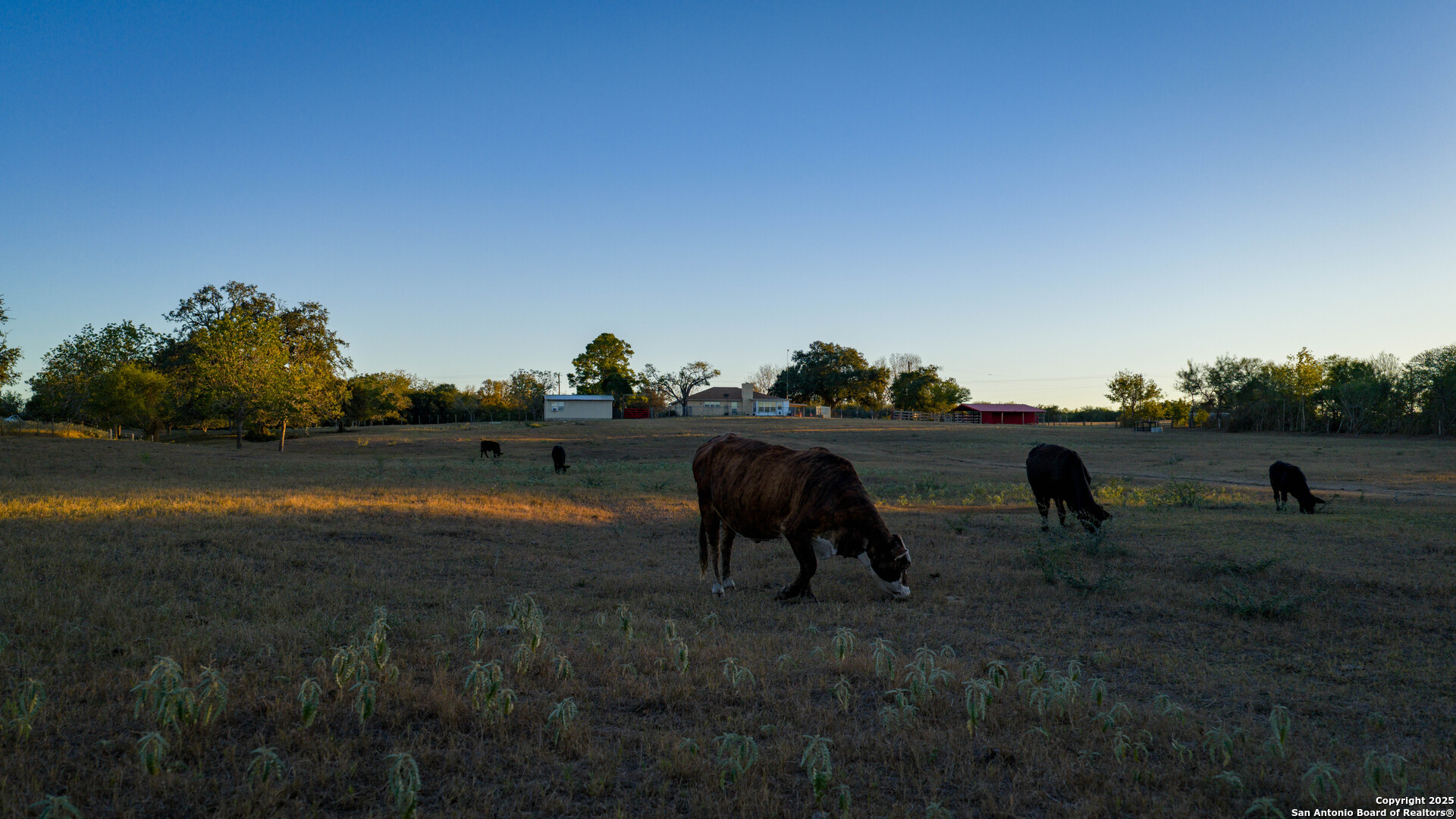 Dewitt County | 35+/- Acres