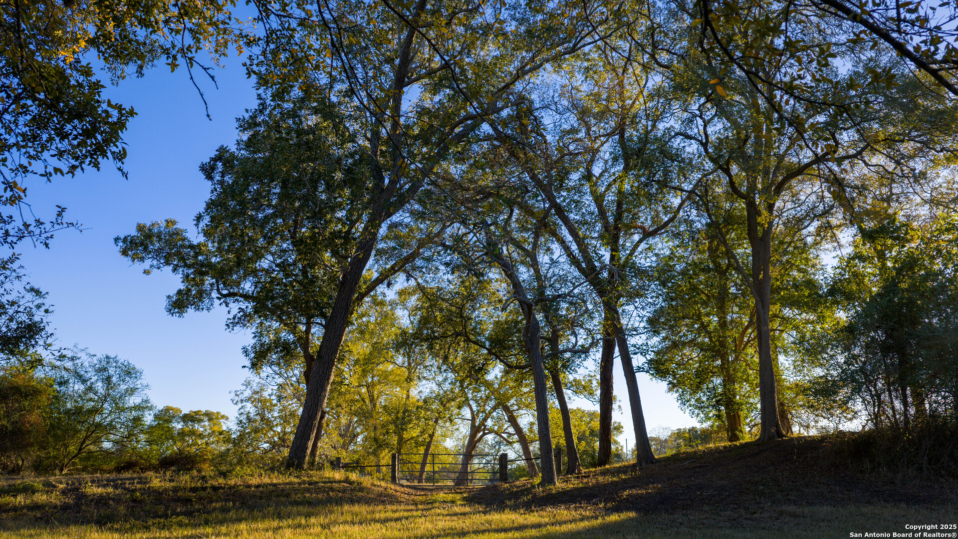 Dewitt County | 35+/- Acres