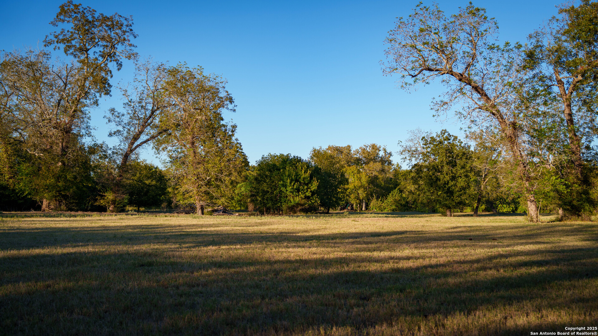 Dewitt County | 35+/- Acres
