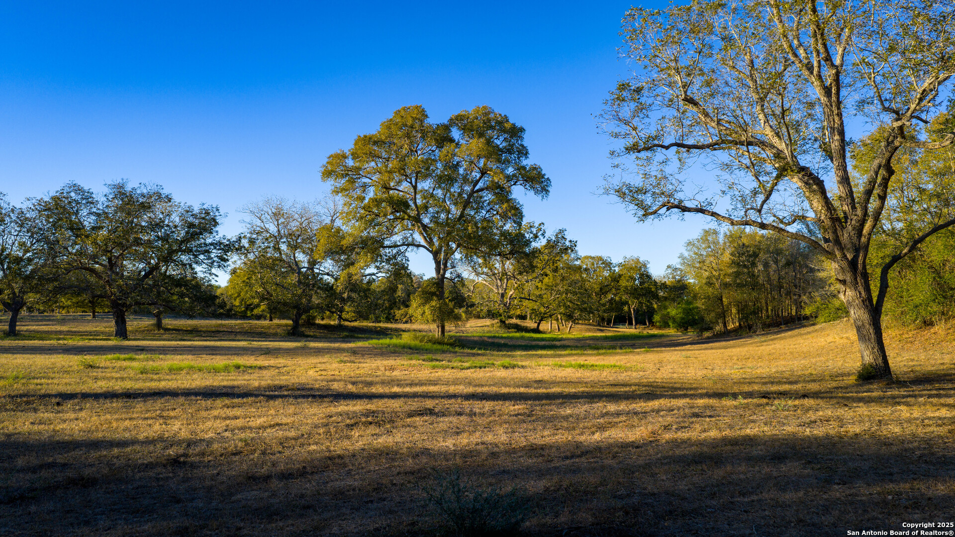 Dewitt County | 35+/- Acres