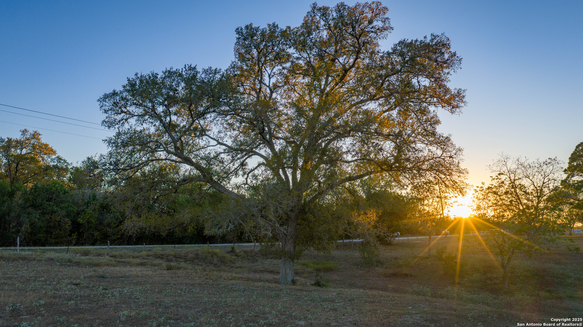 Dewitt County | 35+/- Acres