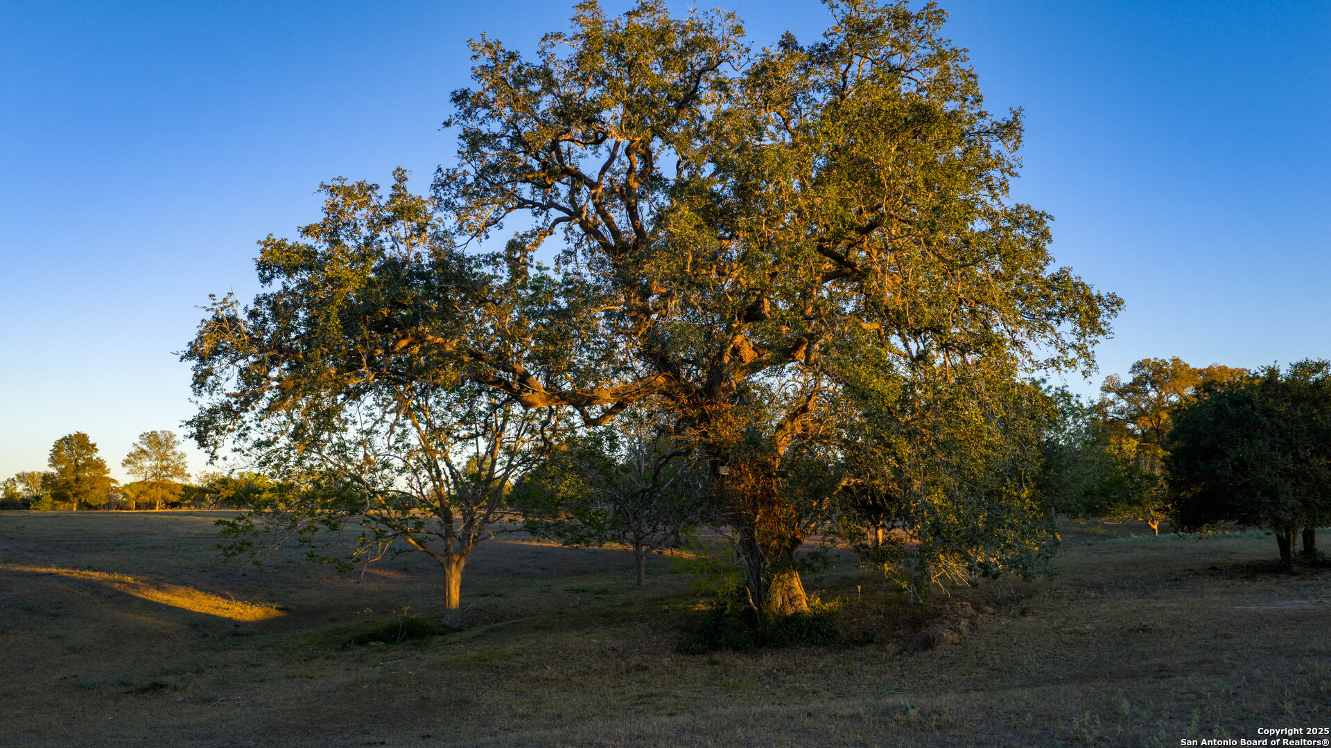 Dewitt County | 35+/- Acres