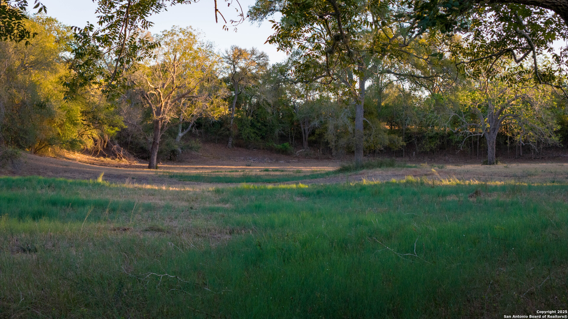 Dewitt County | 35+/- Acres