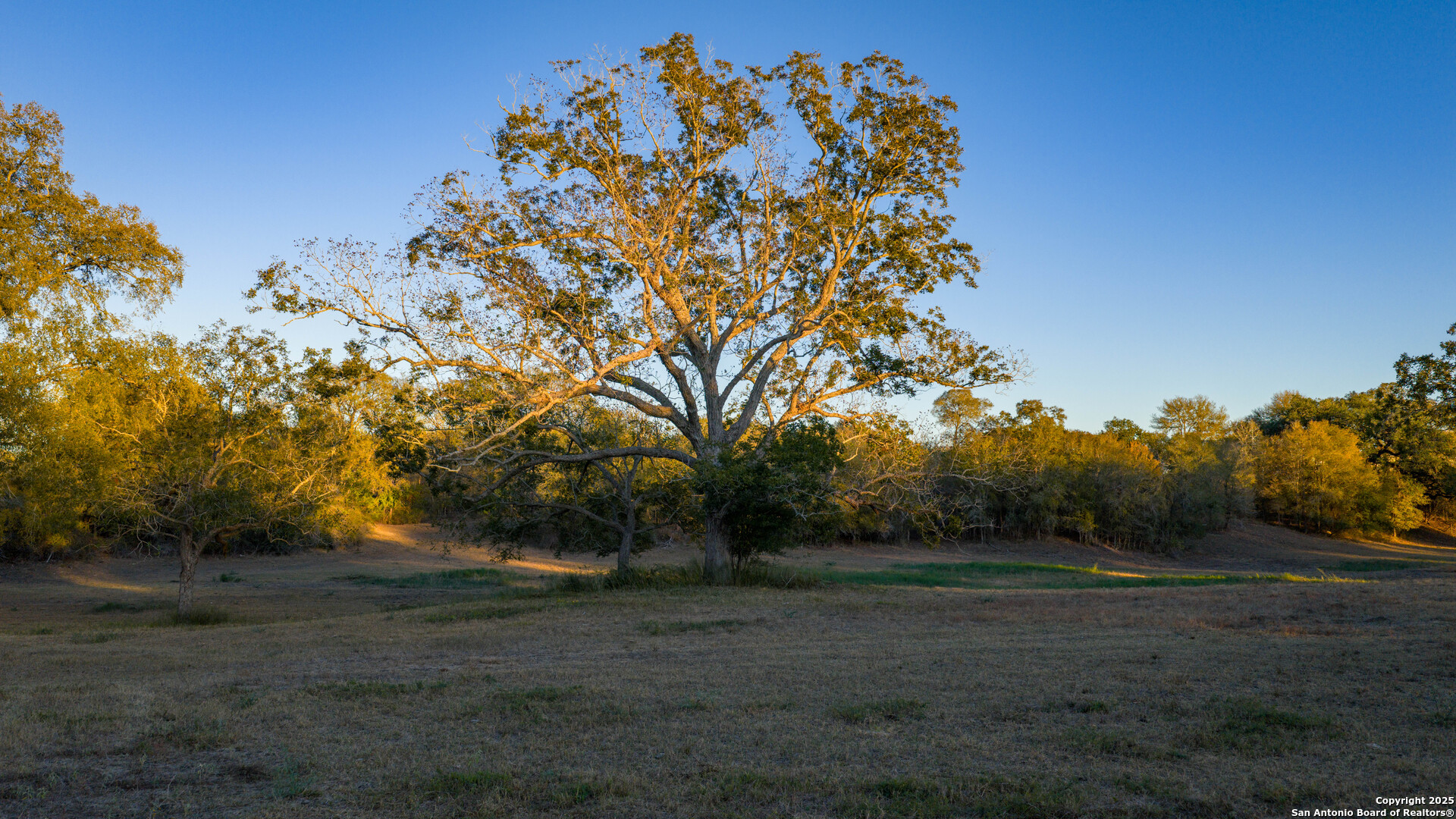 Dewitt County | 35+/- Acres