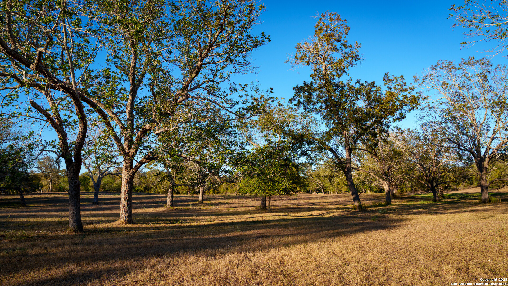 Dewitt County | 35+/- Acres