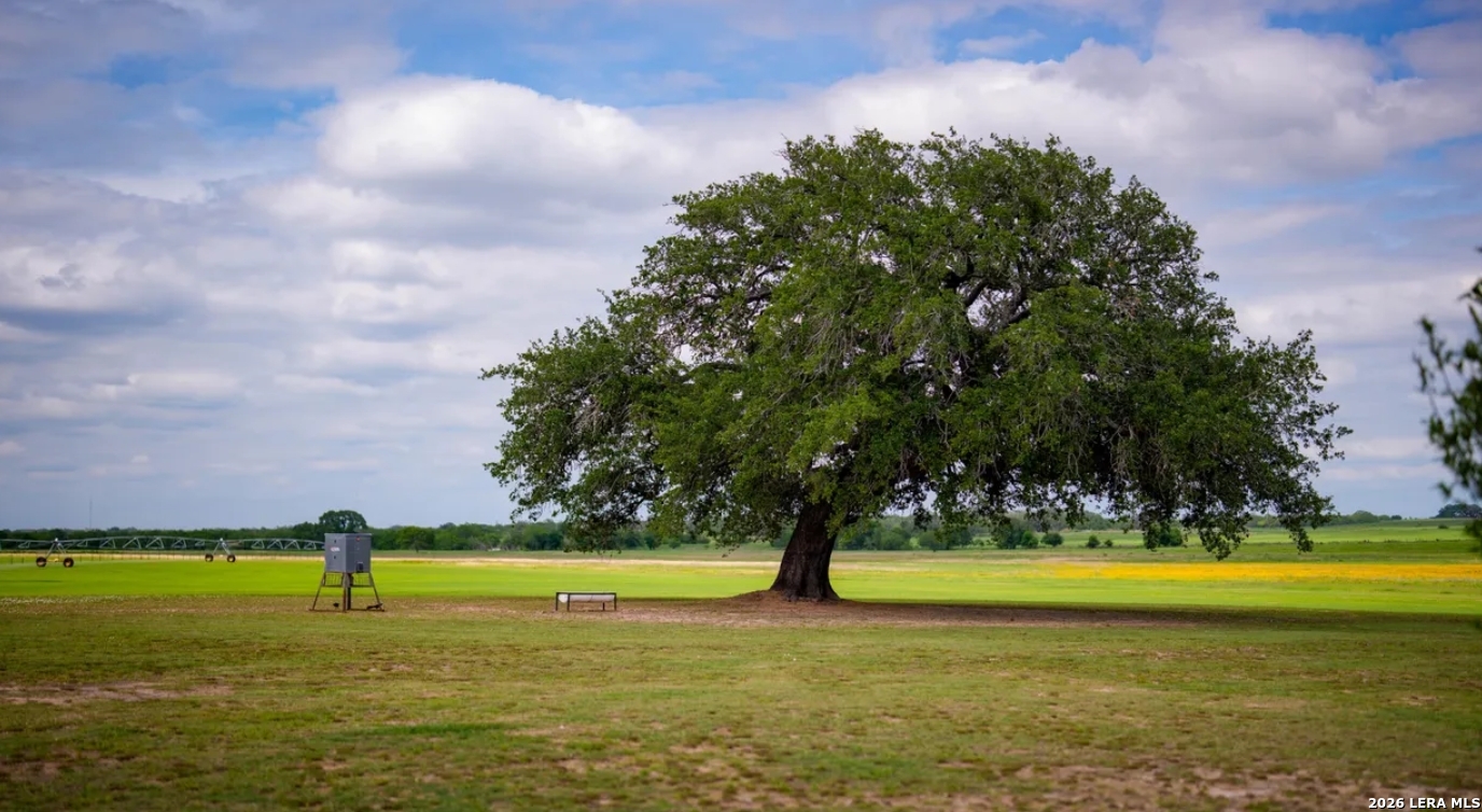 Atascosa County | 352+/- Acres