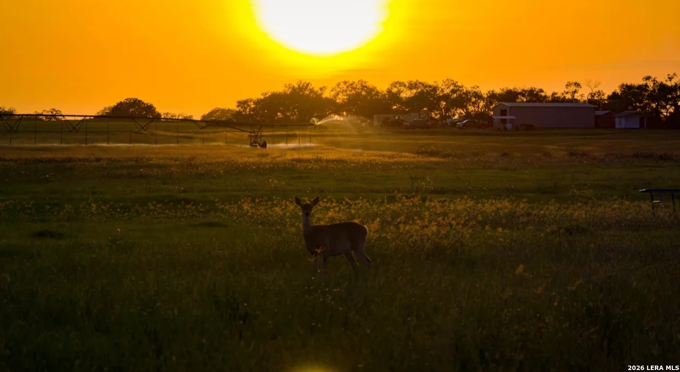 Atascosa County | 352+/- Acres