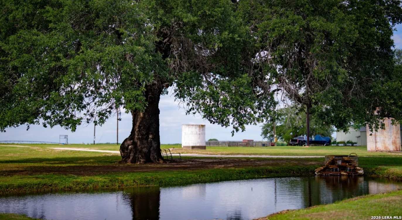 Atascosa County | 352+/- Acres