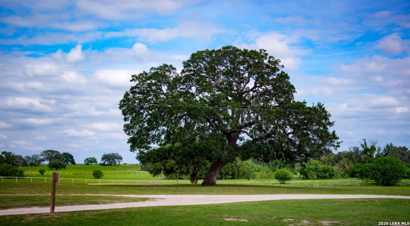 Atascosa County | 352+/- Acres
