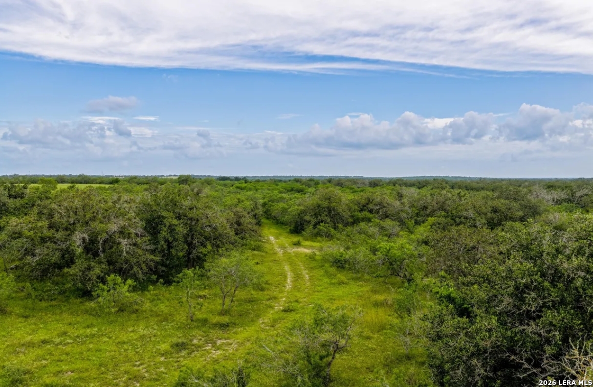 Gonzales County | 112+/- Acres