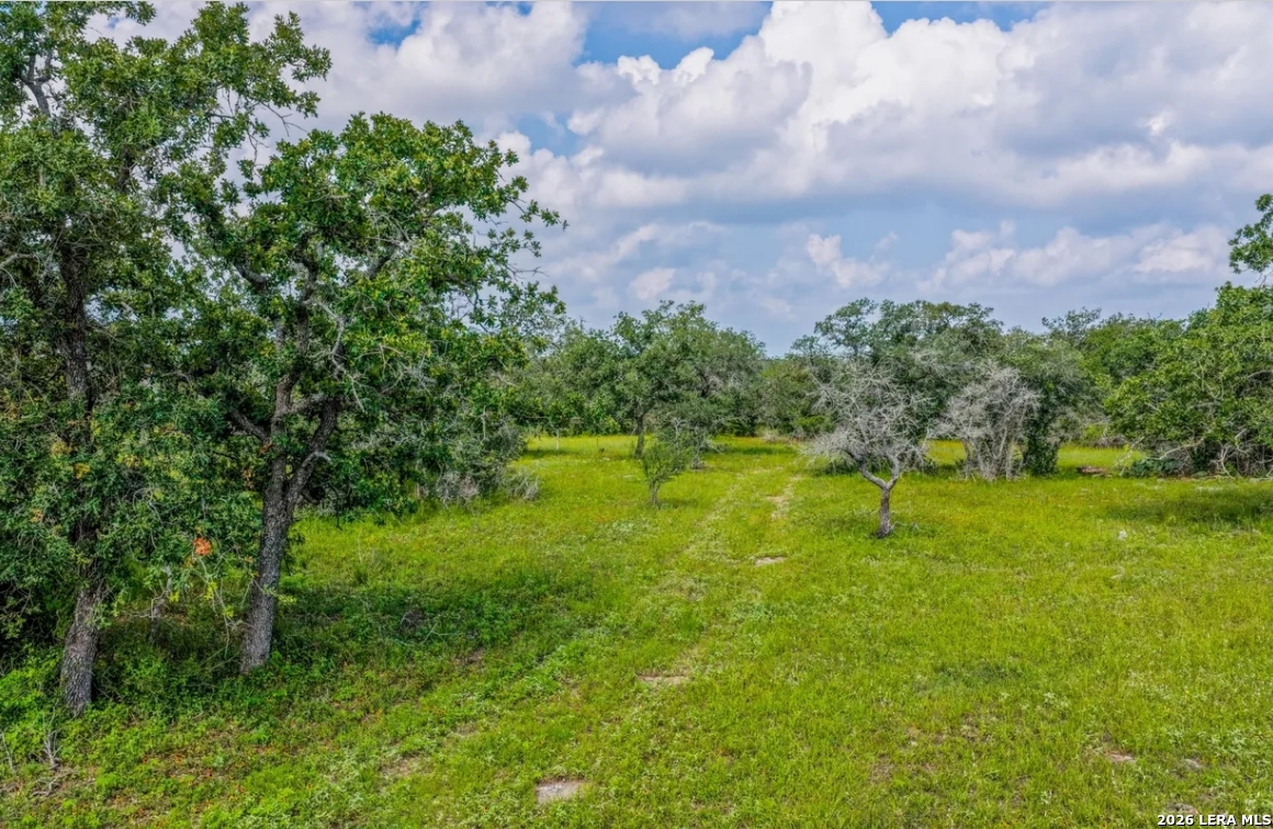 Gonzales County | 112+/- Acres