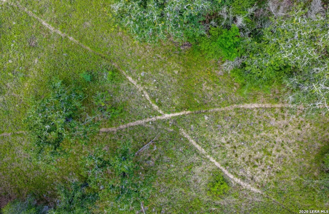 Gonzales County | 112+/- Acres