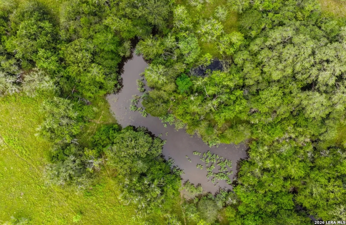 Gonzales County | 112+/- Acres