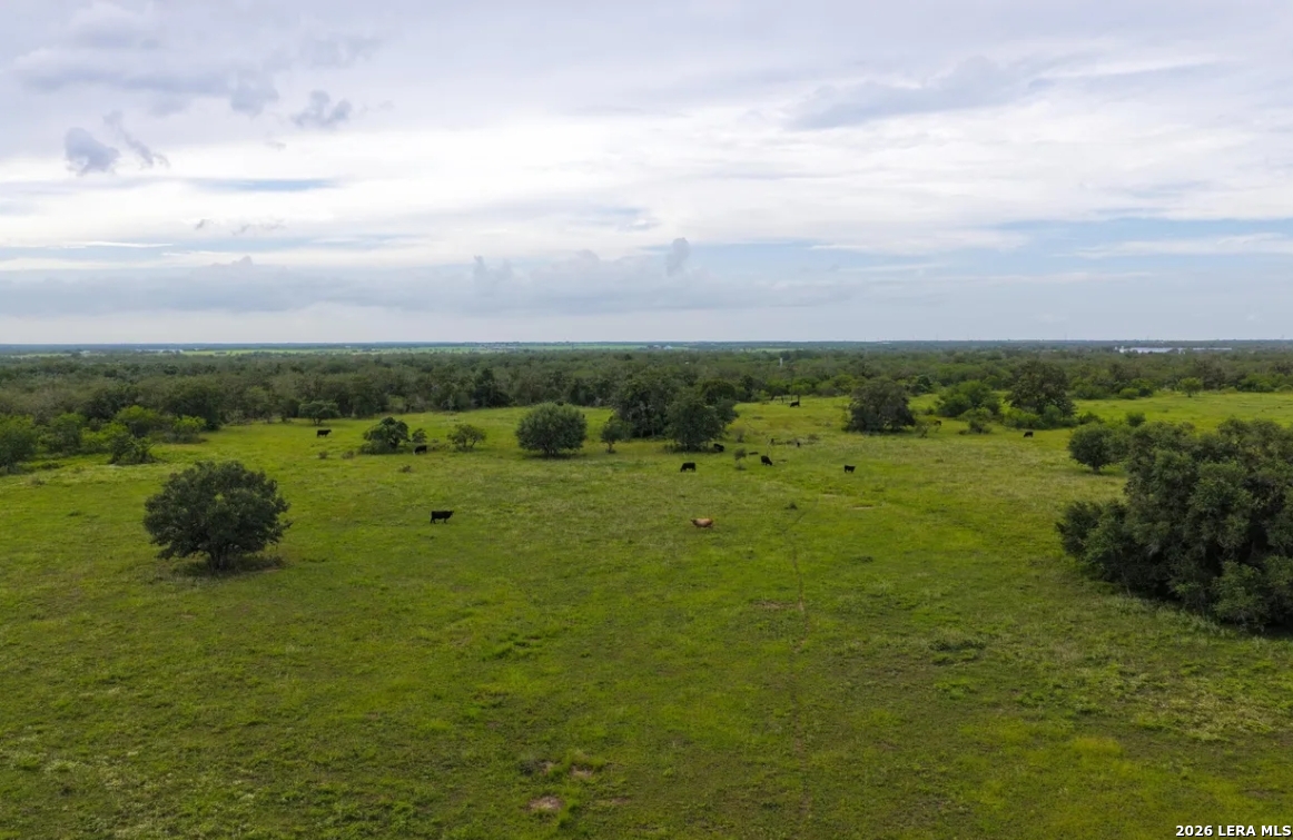 Gonzales County | 112+/- Acres