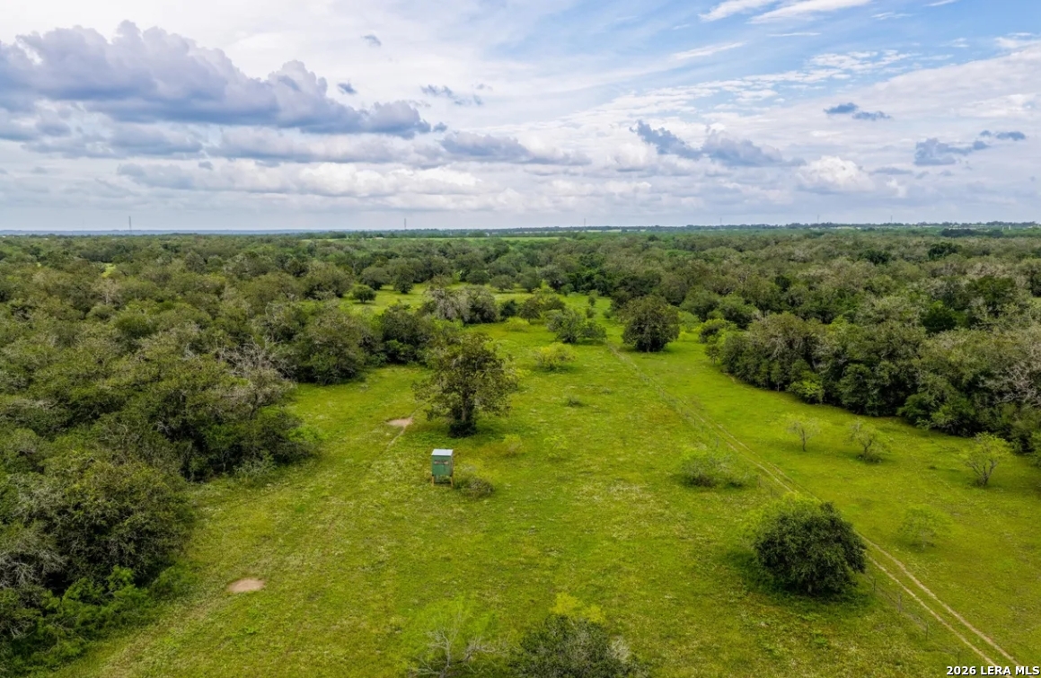 Gonzales County | 112+/- Acres