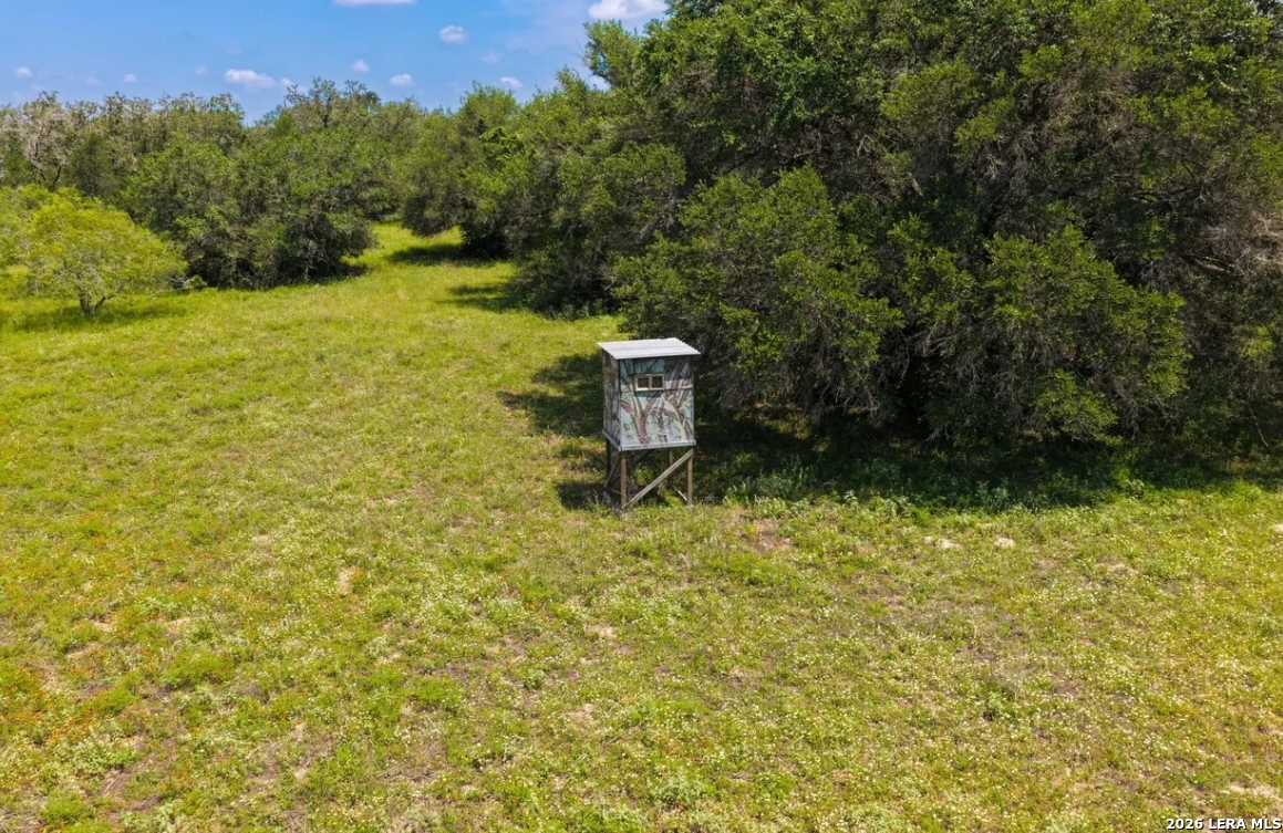 Gonzales County | 112+/- Acres