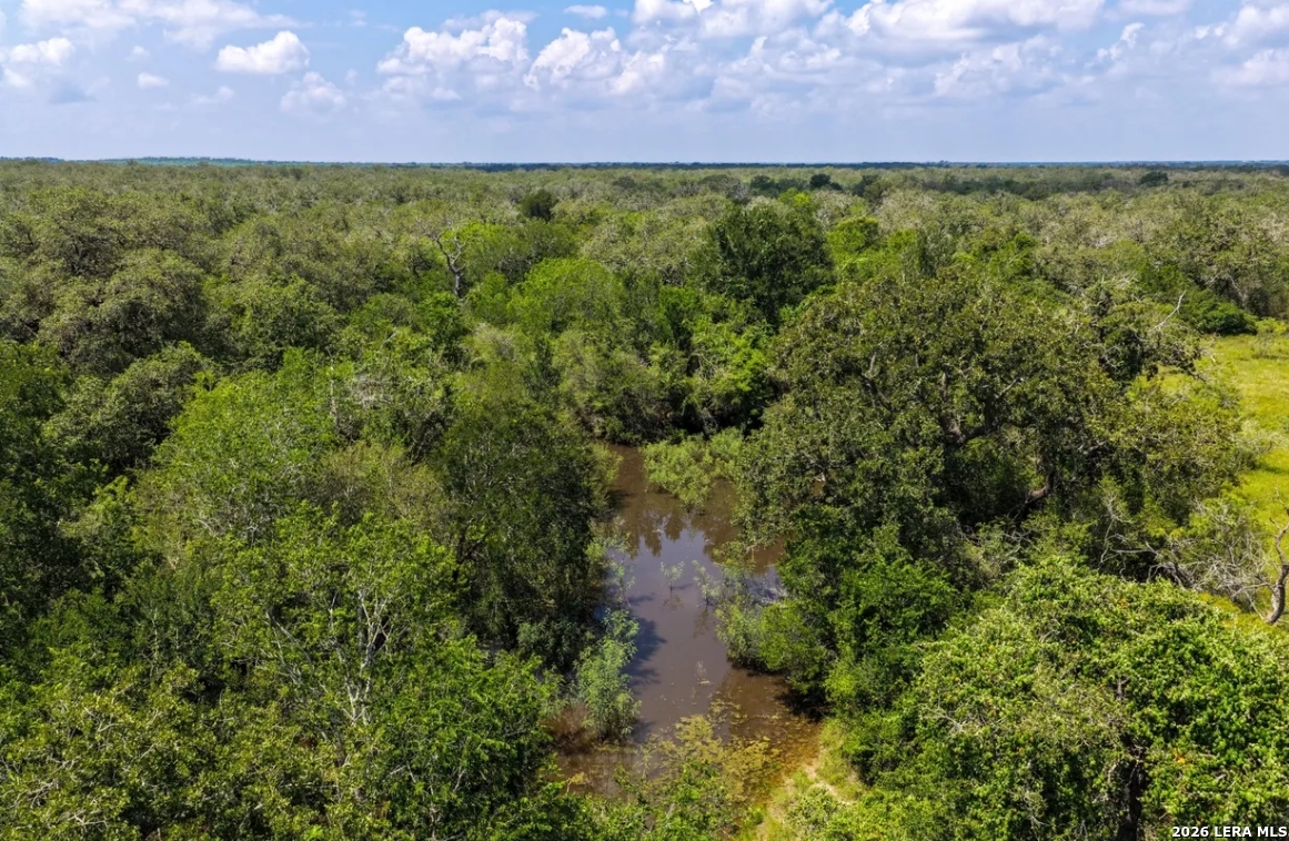 Gonzales County | 112+/- Acres