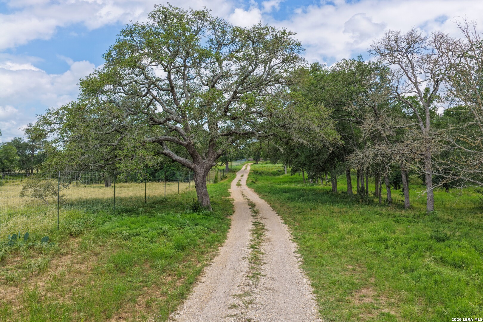 Caldwell County | 167+/- Acres