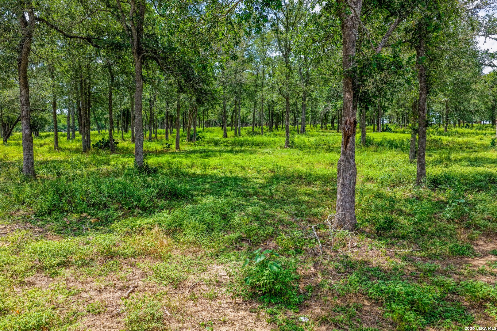 5501 Old Colony Line Rd
