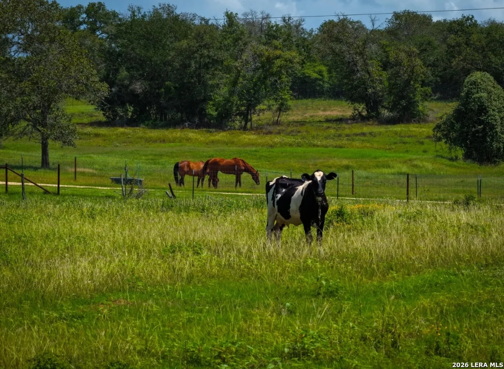 Gonzales County | 10+/- Acres