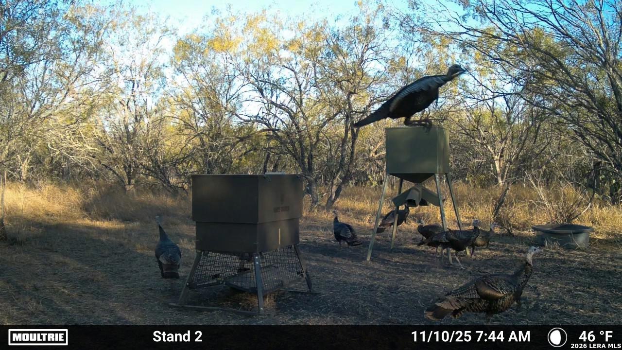 Live Oak County | 14+/- Acres