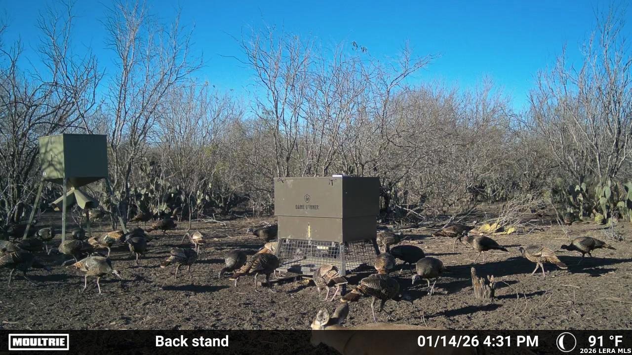 Live Oak County | 14+/- Acres