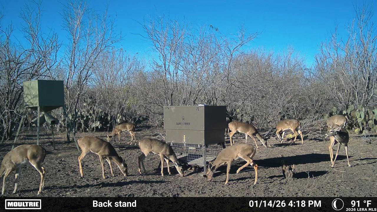 Live Oak County | 14+/- Acres