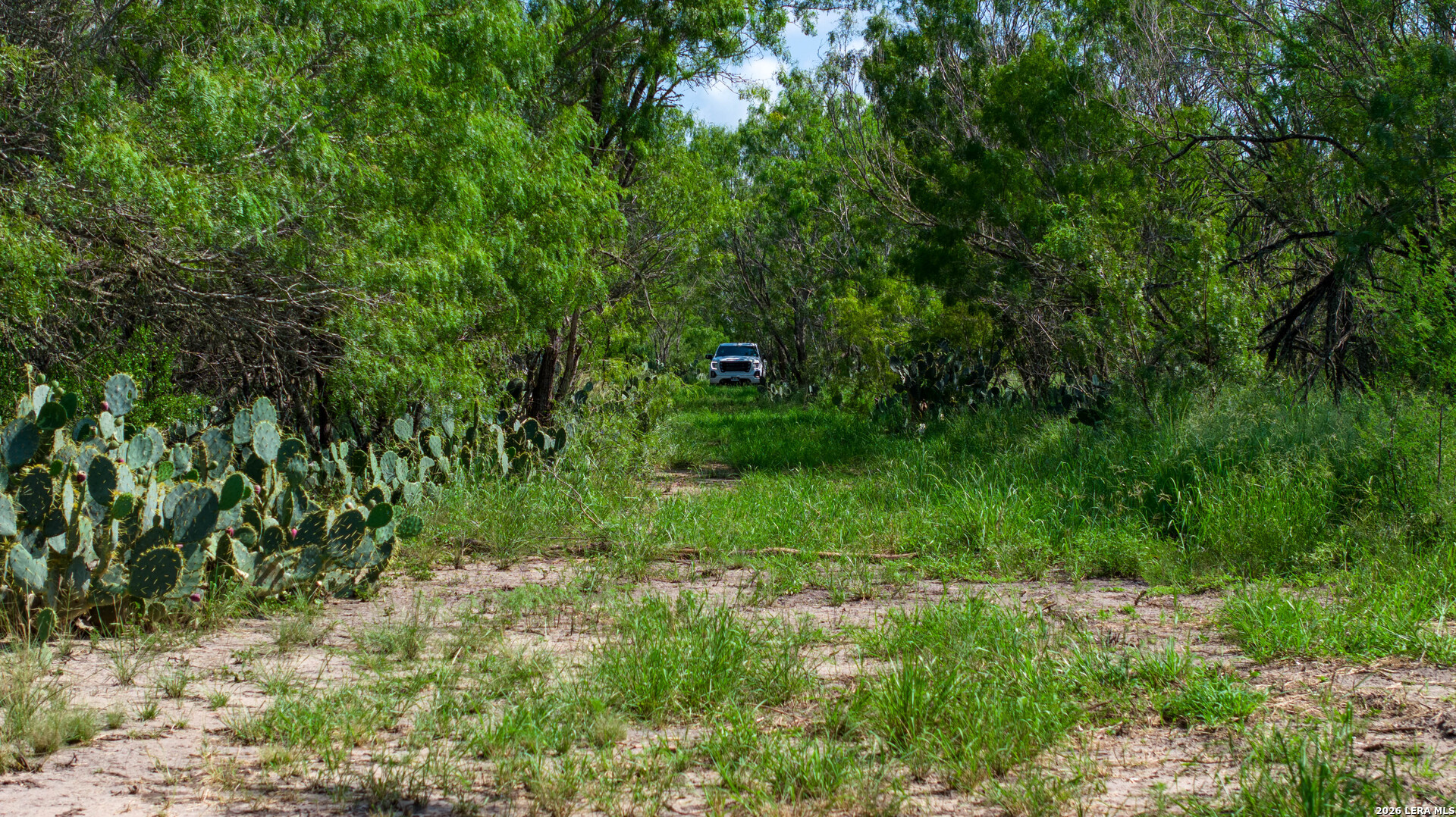 Live Oak County | 14+/- Acres