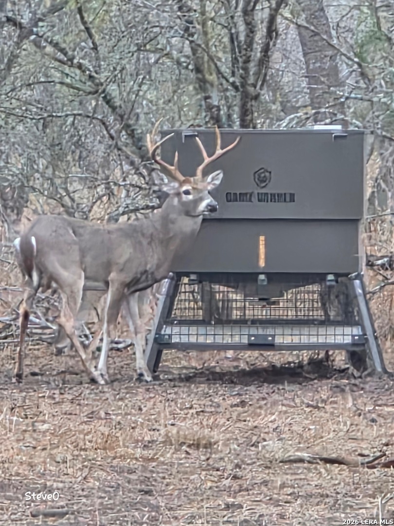 Live Oak County | 14+/- Acres