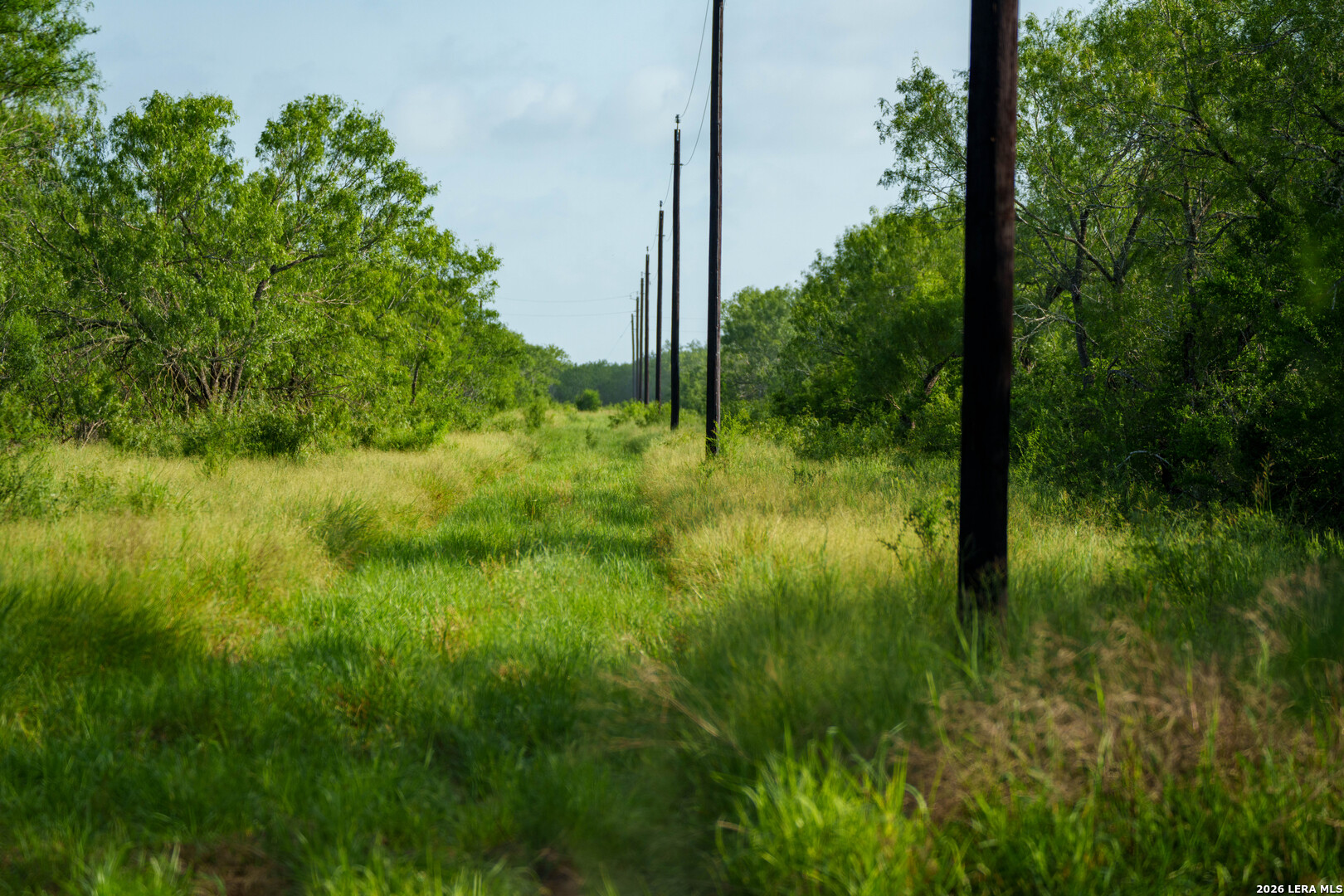 Live Oak County | 14+/- Acres