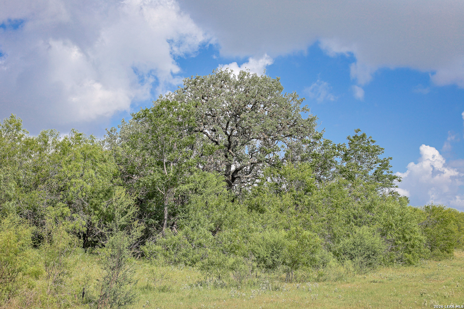 Bexar County | 461+/- Acres