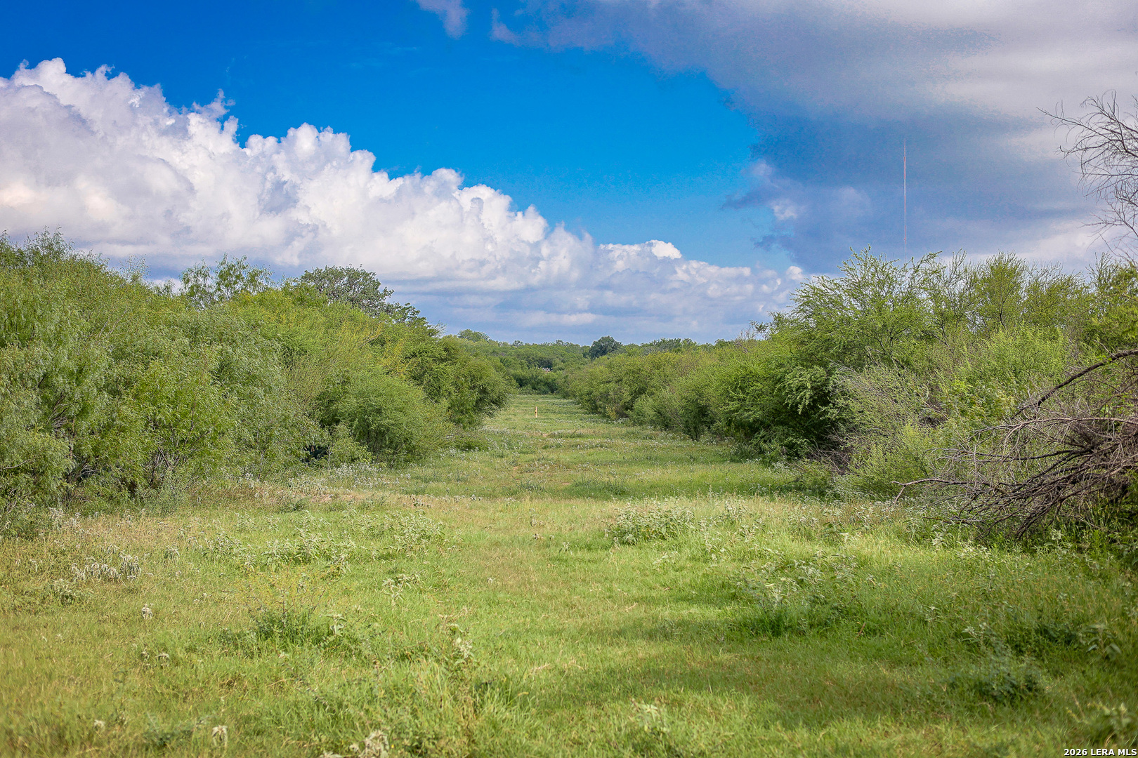Bexar County | 461+/- Acres
